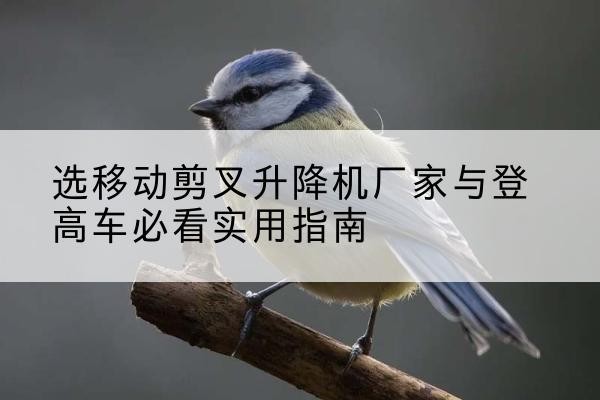 贞丰电动升降机厂家-选移动剪叉升降机厂家与登高车必看实用指南