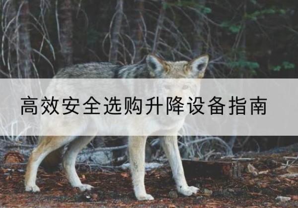 贞丰升降货梯厂家推荐-*安全选购升降设备指南
