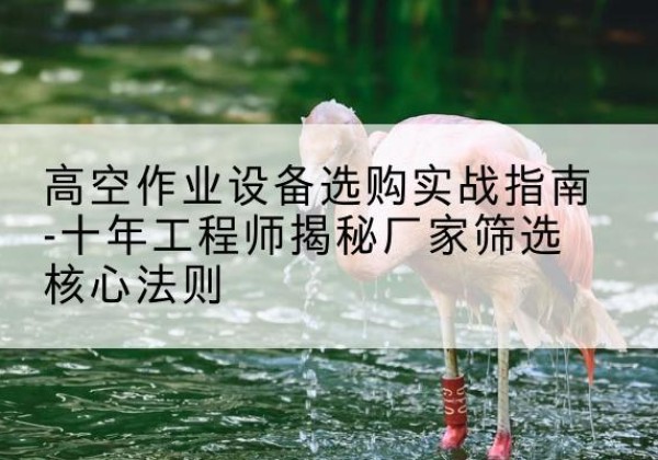 贞丰剪叉式升降机厂家-高空作业设备选购实战指南-十年工程师揭秘厂家筛选核心法则